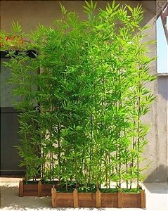 Canteiro de Bambu Sob Medida Bamboo